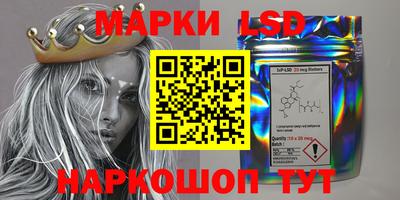 мяу мяу мука Малгобек
