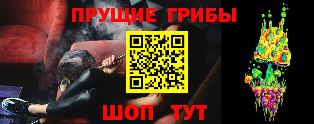 Россошь  Галлюциногенные грибы прущие грибы  Вход с VPN 